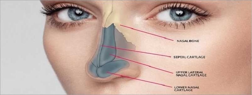 Déviation de la cloison nasale symptômes causes et traitements