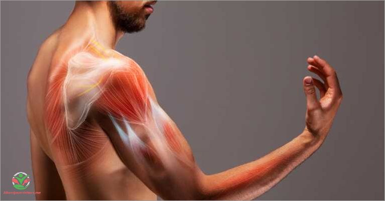 Exercices de renforcement des muscles de l'épaule