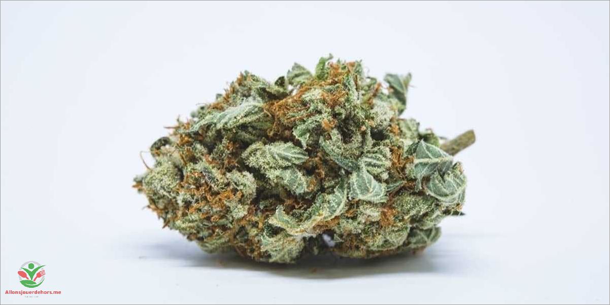 Origine et types de feuilles de cannabis