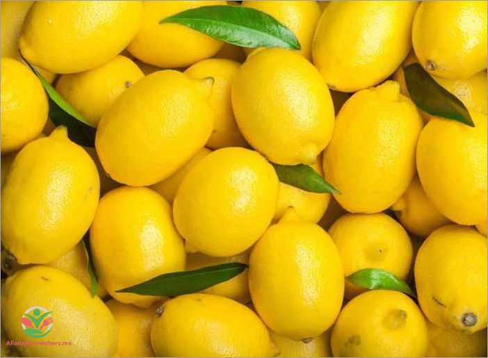 Les propriétés brûle-graisses du citron