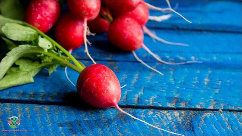 Les nombreux bienfaits des radis pour la santé