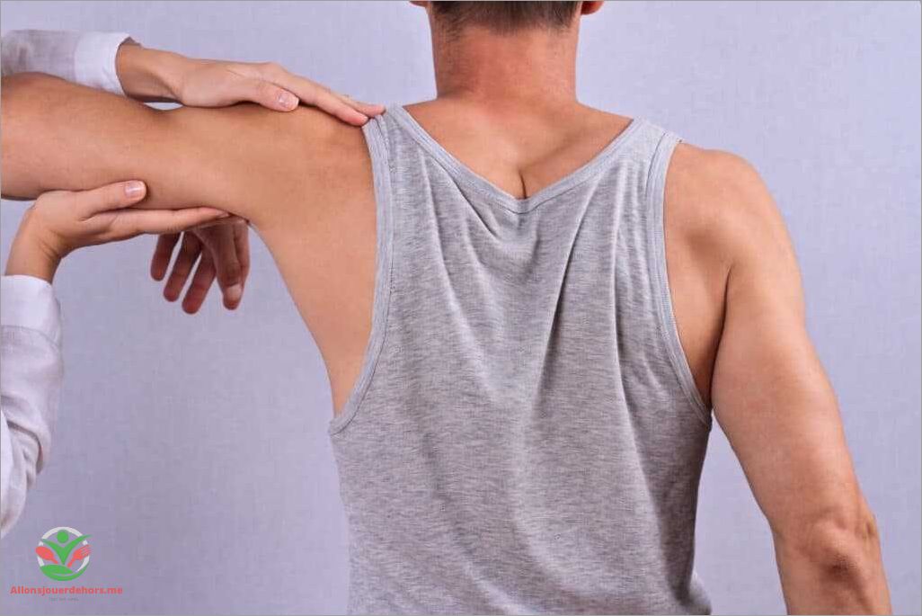 Fonctions du muscle de l'épaule