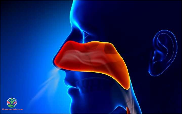 Nez qui coule causes symptômes et traitements