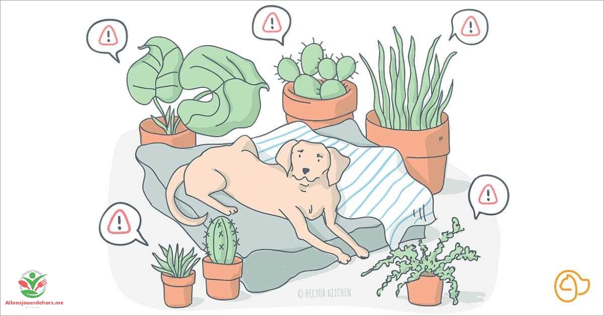 Plantes toxiques pour les chiens
