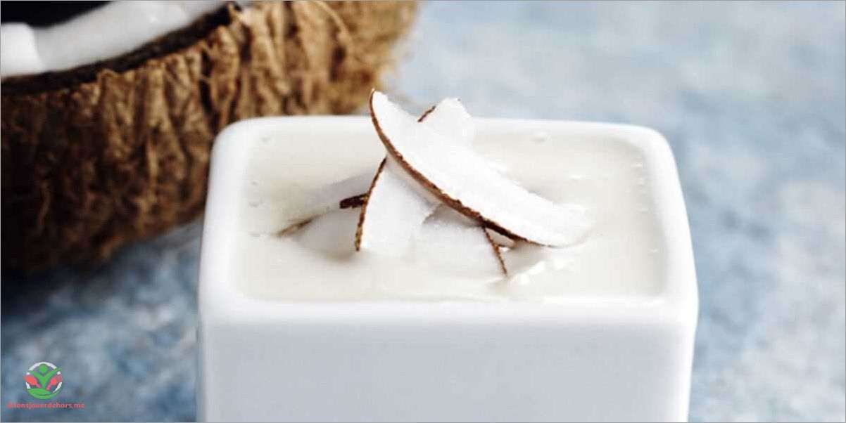 Ingrédients pour le lait de coco maison
